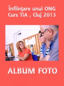 Curs ONG